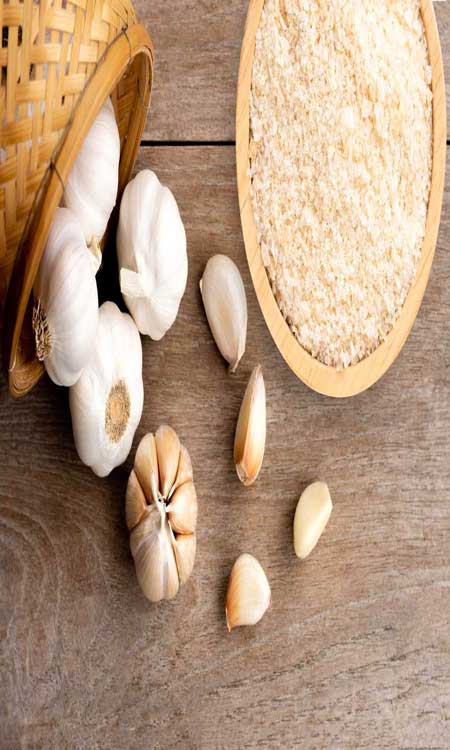 مزایای خرید پودر سیر عمده