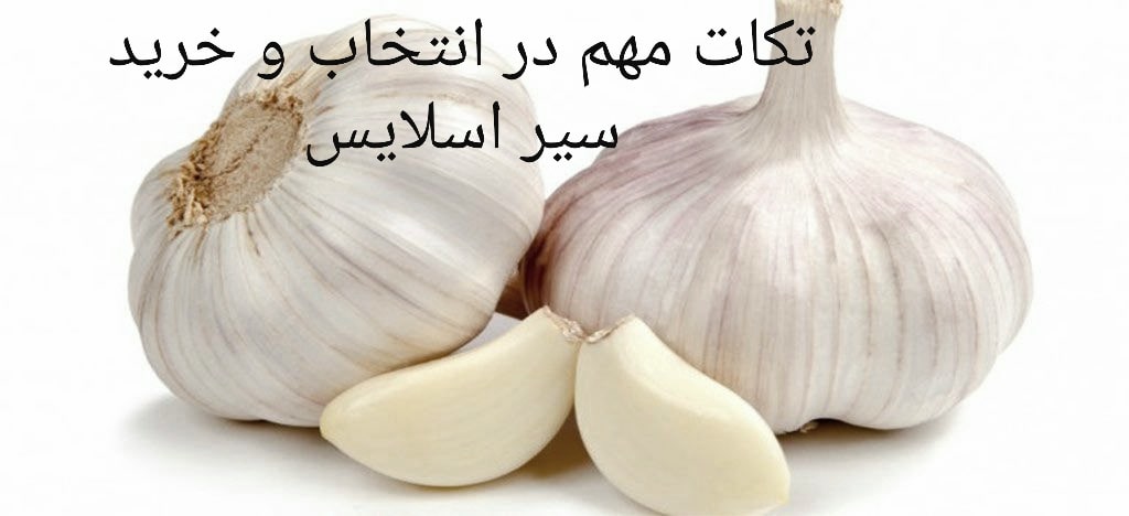نکات مهم در انتخاب و خرید سیر اسلایس