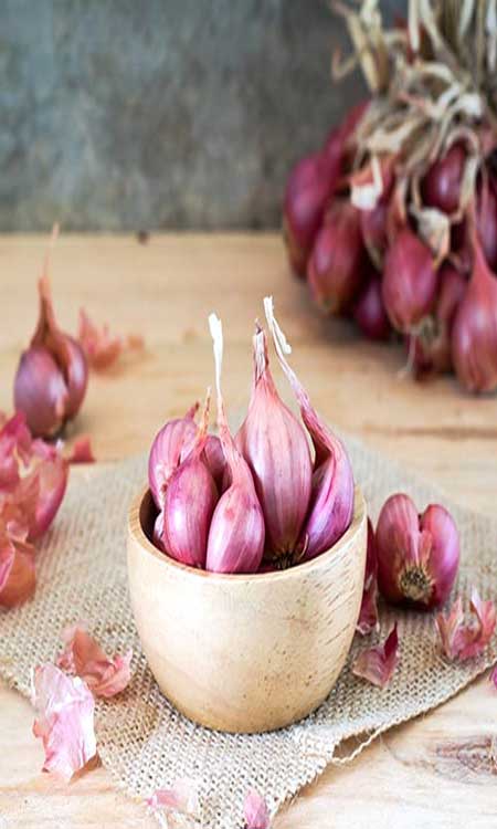 ترکیبات معدنی و ارزش غذایی موسیر