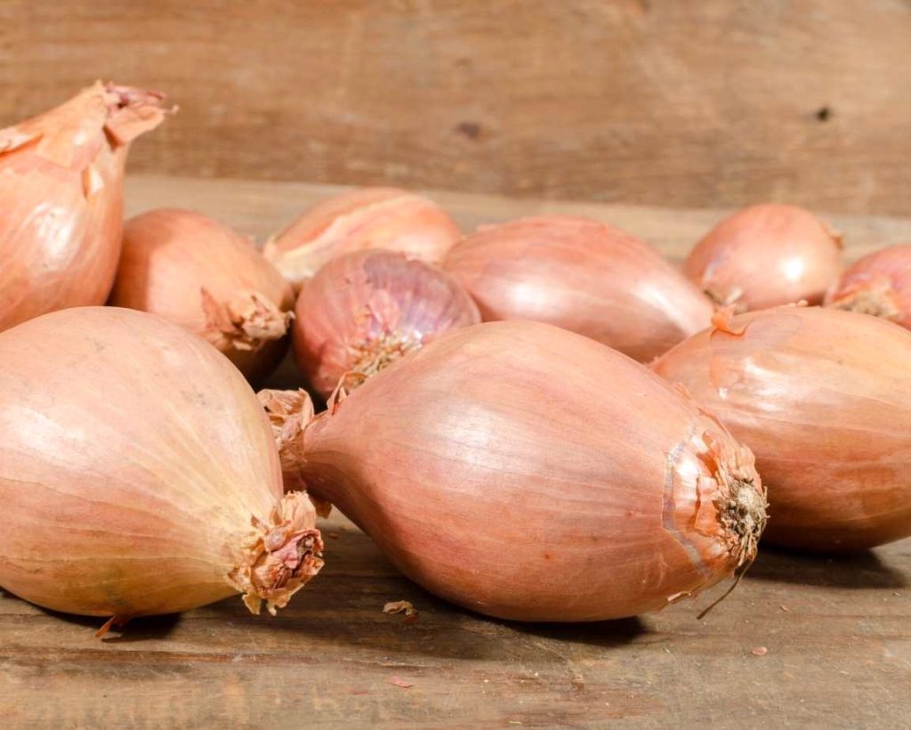 خواص موسیر برای دستگاه گوارش و هضم غذا