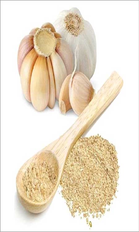 مشخصات پودر سیر عمده مرغوب و باکیفیت