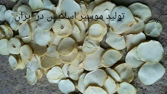 جایگاه تولید موسیر در ایران برای خرید عمده موسیر