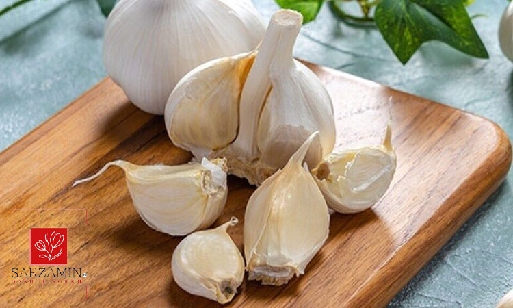 مزایای نگهداری سیر خشک نسبت به سیر تازه