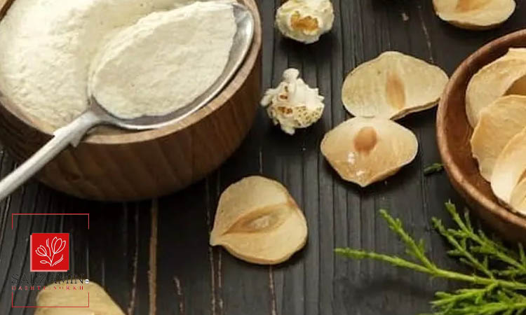 خواص ماست موسیر برای لاغری